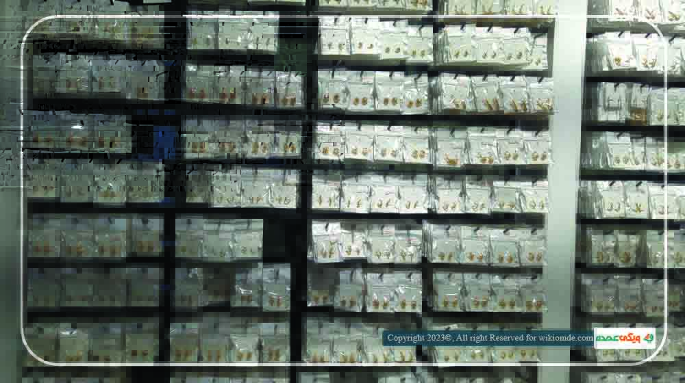 بخشی از تنوع بدلیجات عمده فروشگاه تندیس