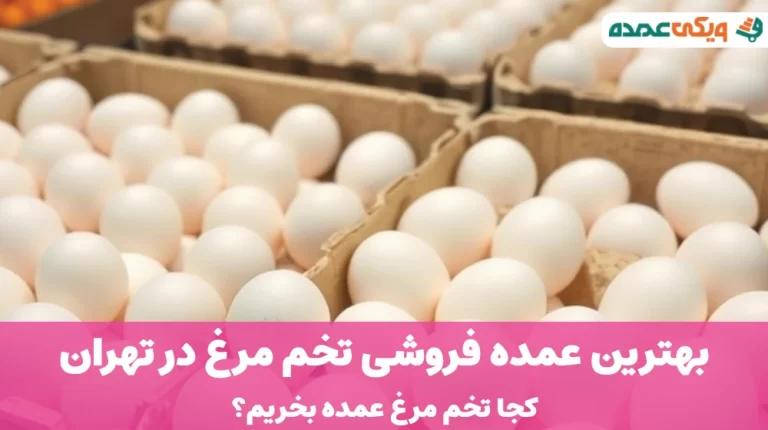 بهترین عمده فروشی تخم مرغ در تهران