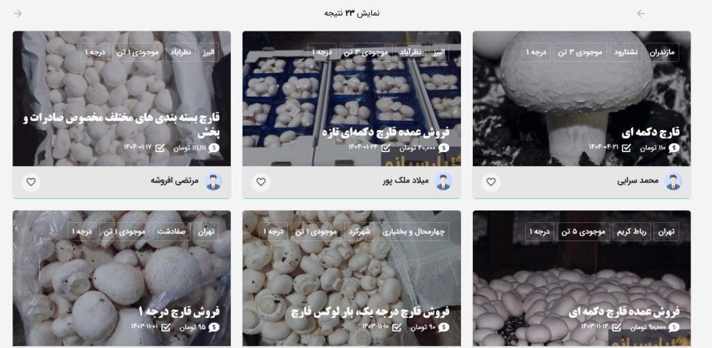 پارسینو فروش عمده قارچ در تهران