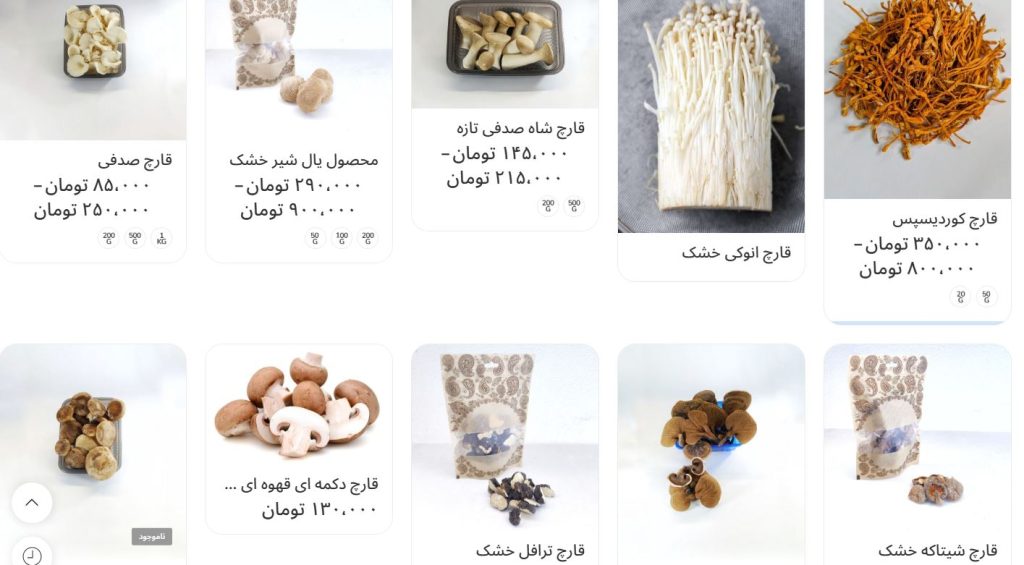 قارچیران از بهترین عمده فروشی قارچ در تهران