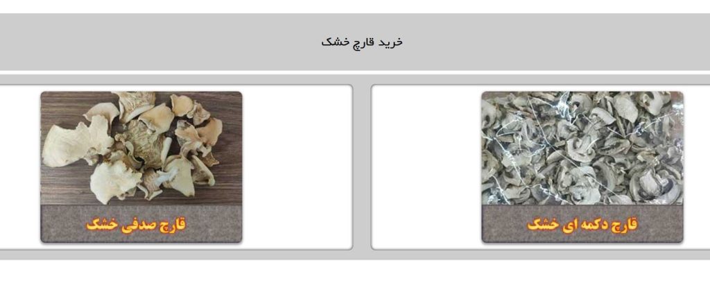 ویشکو از بهترین عمده فروشی قارچ در تهران