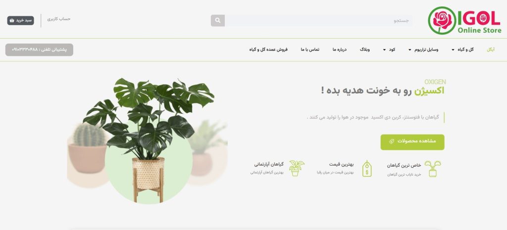 آی گل از بهترین عمده فروشی گل در تهران