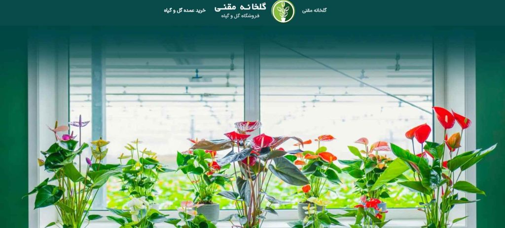 گلخانه مقنی از بهترین عمده فروشی گل در تهران