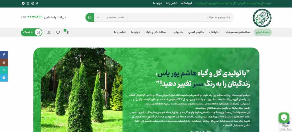 هاشم پور یاس از بهترین عمده فروشی گل در تهران